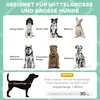 PawHut Erhöhtes Hundebett mit Baldachin Haustierbett Produktbild-Vorschau 4
