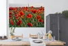 MuchoWow® Poster Blumen - Mohnblumen - Natur - Rot 180x120 Produktbild-Vorschau 4