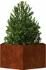 vidaXL Sadzarka Rusty 90x90x45 cm stal kortenowska Podgląd zdjęcia produktu 3