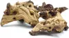BioRoot Mopani-Wurzel für Terrarium und Aquarium S 10-20cm Produktbild-Vorschau 1