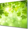 Glas Herdabdeckplatte 60x52 cm Spritzschutz Produktbild-Vorschau 1