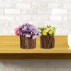 Rustikaler Blumentopf aus Baumrinde, 12 cm Durchmesser, 11 Produktbild-Vorschau 6