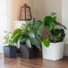 KADAX bloempot-overpot met mokka-inzetstuk, 40 cm Productafbeelding-voorbeeld 7