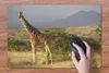 MuchoWow® Schreibtischunterlage Giraffe - Landschaft - Produktbild-Vorschau 3