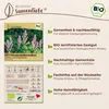 Samenliebe  Muskatellersalbei Samen | Heilpflanze - Produktbild-Vorschau 3