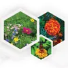 BALKON-& TERRASSENMIX Saat -ReNatura Blumensamen - Niedrig Produktbild-Vorschau 2