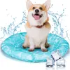 A corgi dog sits on a blue cooling mat with water splashes around it and ice cubes in the foreground. Produktbild-Vorschau