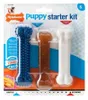 Nylabone Puppy Chew Puppy Starter Kit Chicken Náhľad obrázku produktu 1