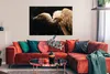 MuchoWow® Poster Geier - Vogel - Tiere 120x80 cm - Bilder Produktbild-Vorschau 2