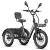 E Trike mit Unterstützung, 180 kg Zuladung, 100 km Produktbild-Vorschau 2