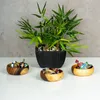 3er Set Snackschale Holz Akazie 10x3cm Rund Design Schale Produktbild-Vorschau 4