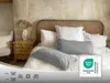 2er Set Feinjersey Kopfkissenbezüge 100% Baumwolle, 40x80 Produktbild-Vorschau 5