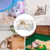 Acryl Hamsterkooi 2-Laags Transparant Productafbeelding-voorbeeld 4