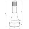 100x Valvola ad alta pressione TR600HP per pneumatici Anteprima dell’immagine prodotto 6