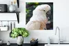 MuchoWow® Poster Nahaufnahme eines weißen Kakadus 50x50 cm Produktbild-Vorschau 3