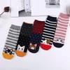 Damen Katzensocken – Lustige Kurzsocken mit Katzenmotiv, 5 Produktbild-Vorschau 3