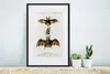 MuchoWow® MuchoWow® Gerahmtes Poster Fledermaus - Vintage - Produktbild-Vorschau 4