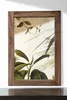 MASSIVMOEBEL24 | Miroir vertical 100x70cm - Bois de Voir les images du produit 2