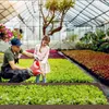 XINZI Flexibilný kovový obrubník na trávnik, obrubník a Náhľad obrázku produktu 12