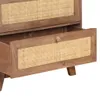 Credenza 61x35x76 cm in legno massiccio di mango Anteprima dell’immagine prodotto 4