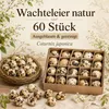 Wachteleier ausgeblasen 60 Stück Dekoeier Ostereier Basteln Produktbild-Vorschau 2