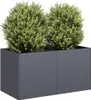 A dark gray rectangular planter with two green bushy plants inside, set against a white background. Anteprima dell’immagine prodotto
