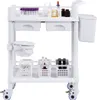 Carrello per laboratorio medico - 2 vassoi - 2 cassetti - 3 Anteprima dell’immagine prodotto 9