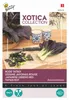 Tatsoi Red | Tatsoi Seeds by Buzzy Seeds Náhľad obrázku produktu 2