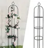 Pergola ogrodowa na kwiaty, róże kolumnowa Persian Yellow Podgląd zdjęcia produktu 2