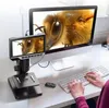 A person is using a digital microscope connected to a computer, viewing a magnified image of a bee. Náhled obrázku produktu