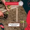 KOTARBAU® 25er Set Pflanzstäbe 40cm Tomaten & Gurken Produktbild-Vorschau 8