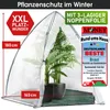 BRAST Überwinterungszelt Foliengewächshaus Mini Gewächshaus Produktbild-Vorschau 8