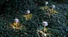 Nabíjecí a stmívatelná stolní LED lampa Ofelia Pro Salvia Náhled obrázku produktu 8