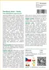 SAFLAX - perníkový strom - Cercidiphyllum japonicum - 200 Náhled obrázku produktu 3