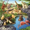 Wald-/Zoo-/Haustiere Ravensburger 09265 Produktbild-Vorschau 3
