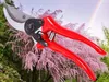 Verk 11421 Cesoie 20 cm rosso Anteprima dell’immagine prodotto 9
