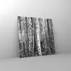 Bilder auf glas - Einteilig - Birken Wald Monochrom - Produktbild-Vorschau 4
