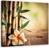 Leinwandbild Bambus-Zen-Blumen 30x30 Feeby Gelb bild für Produktbild-Vorschau 1