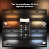 Philips 929003052501 Philips Hue Ensis pendant black 2x39W Productafbeelding-voorbeeld 19