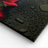 Bild auf Leinwand - Leinwandbild - Blume rote rose wasser Produktbild-Vorschau 5