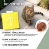 REAVET 4in1 Complete für Katzen - Tägliche Ergänzung für Produktbild-Vorschau 6