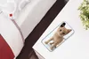 MuchoWow® Handyhülle Schutzhülle Hülle für iPhone X Katze - Produktbild-Vorschau 4