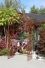 GardenAndPools Rosenbogen BRESLAU Gesamtbreite 1,30 m Produktbild-Vorschau 2