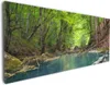 Wallario Premium Leinwandbild Klarer See im Wald in Größe Produktbild-Vorschau 1