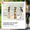 PawHut Poussette chien, poussette pour chien 4 roues, Voir les images du produit 3