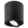 A black cylindrical ceiling spotlight with a rotatable light source. Náhľad obrázku produktu