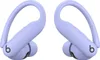 A pair of purple Beats Powerbeats Pro wireless earbuds are shown against a white background. Produktbild-Vorschau