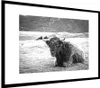 MuchoWow® MuchoWow® Gerahmtes Poster Schottisches Produktbild-Vorschau 7
