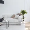hjh OFFICE Umelá rastlina FICUS I Umelá rastlina breza Náhľad obrázku produktu 5