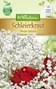 Artikelbild 1 von 'Schleierkraut Weiß' aus der Kategorie Blumensamen Produktbild-Vorschau